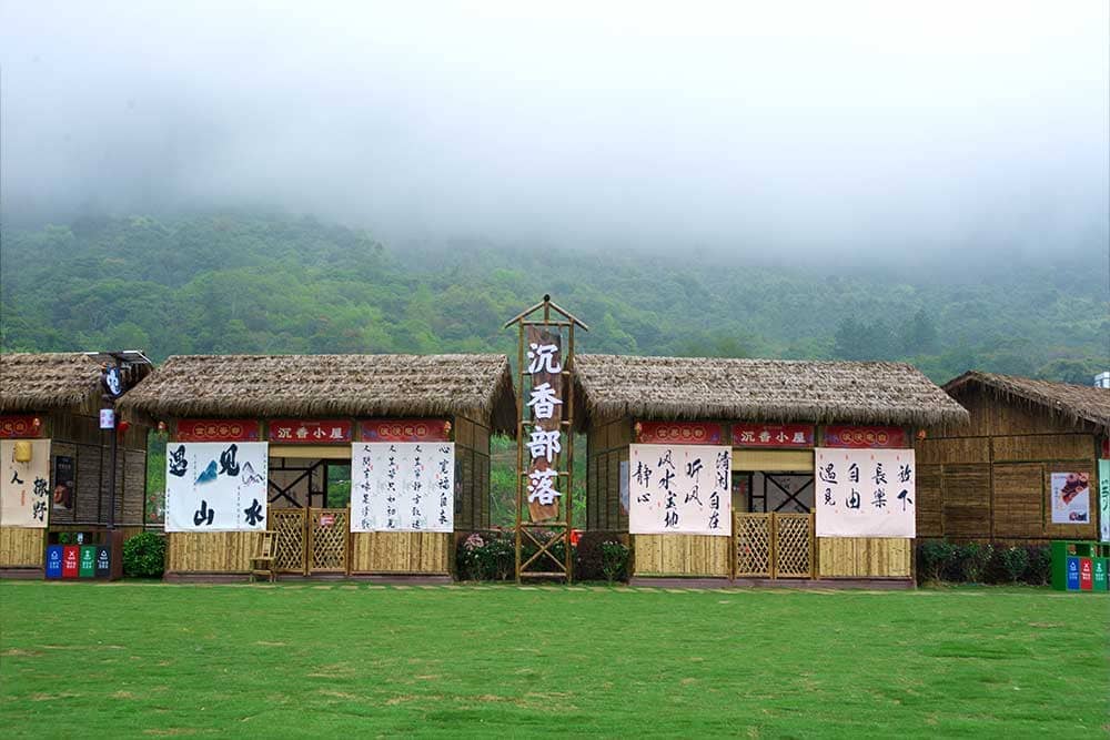 南蕉基地
